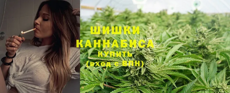 Каннабис OG Kush  Горно-Алтайск 